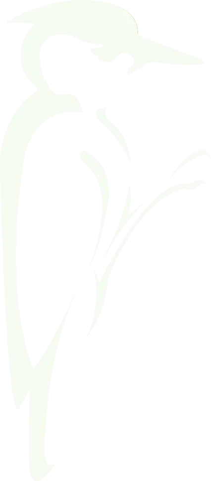 pic vert droite_white